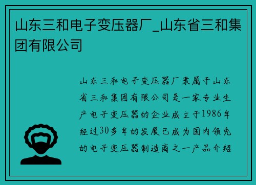 山东三和电子变压器厂_山东省三和集团有限公司